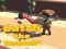 게임 Catsh the robber 온라인