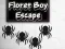 게임 Floret Boy Escape 온라인
