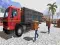 게임 Asian offroad cargo truck driver 온라인