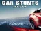 게임 Car Stunts Sky Tour 온라인
