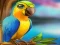 게임 Little Parrot Escape 온라인