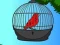 게임 Red Bird Rescue 온라인