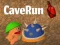 게임 CaveRun 온라인