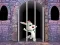 게임 Victory Rabbit Escape 온라인