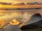 게임 Escape From Sunset Beach 온라인