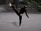 게임 Ninja Academy 온라인