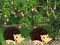 게임 Escape From Mango Farm 온라인