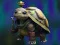 게임 Isolated Turtle Escape 온라인