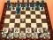 게임 Chess Master 3D 온라인