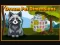 게임 Dream Pet Dimensions 온라인