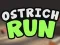 게임 Ostrich Run 온라인