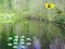 게임 Sunlight Forest Adventure 온라인