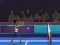 게임 Badminton Brawl 온라인