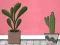 게임 Find Houseplant 온라인