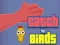 게임 Catch the Birds 온라인