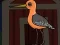 게임 Cute Godwit Escape 온라인