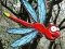 게임 Escape From Dragonfly Forest 온라인
