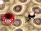 게임 Bouncing Blob 온라인