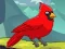 게임 Rescue The Northern Cardinal 온라인