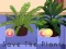 게임 Save the Plants 온라인