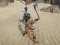 게임 The Scythian Warrior 온라인