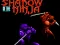 게임 Shadow of the Ninja 온라인