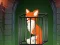 게임 Fox in the Forgotten Ruins 온라인