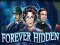 게임 Forever Hidden 온라인