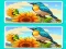 게임 Spot the Difference The Garden 온라인