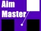 게임 Aim Master 온라인