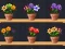 게임 Good Flower Master 온라인
