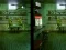 게임 Robot Bar Spot the differences 온라인