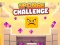 게임 Sponge Challenge 온라인