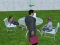 게임 Millionaire Simulator 2024 온라인