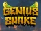 게임 Genius Snake 온라인