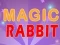 게임 Magic Rabbit 온라인