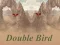 게임 Double Bird 온라인