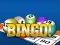 게임 Bingooo 2024 온라인
