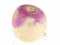 게임 Turnip 온라인