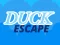 게임 Duck Escape 온라인