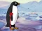 게임 Heal the Wounded Penguin 온라인