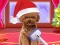 게임 Christmas ASMR Makerover Salon 온라인