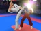 게임 Karate Fighter 온라인