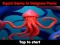 게임 Squid Game In Dalgona Panic 온라인