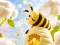 게임 Find The Differences: Little Bee's Adventure 온라인