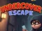 게임 Undercover Escape 온라인