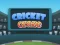 게임 Cricket Craze 온라인