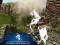 게임 Ertugrul Gazi Horse Sim 온라인