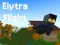 게임 Elytra Flight 온라인