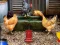 게임 Poultry Farm Easter Escape 온라인